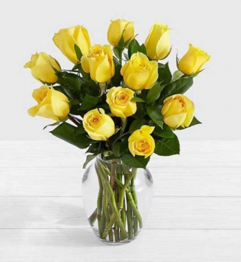 Roses all colors Rita Syria